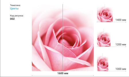 Шкаф-Купе 2-х Створчатый Тиффани Рамир Фотопечать Разные Цвета 1000/1200/1400/1500/1600//Разные Цвета