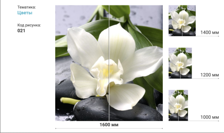 Шкаф-Купе 2-х Створчатый Тиффани Рамир Фотопечать Разные Цвета 1000/1200/1400/1500/1600//Разные Цвета