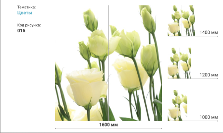 Шкаф-Купе 2-х Створчатый Тиффани Рамир Фотопечать Разные Цвета 1000/1200/1400/1500/1600//Разные Цвета
