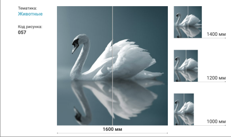 Шкаф-Купе 2-х Створчатый Тиффани Рамир Фотопечать Разные Цвета 1000/1200/1400/1500/1600//Разные Цвета